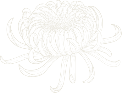 Offset Image